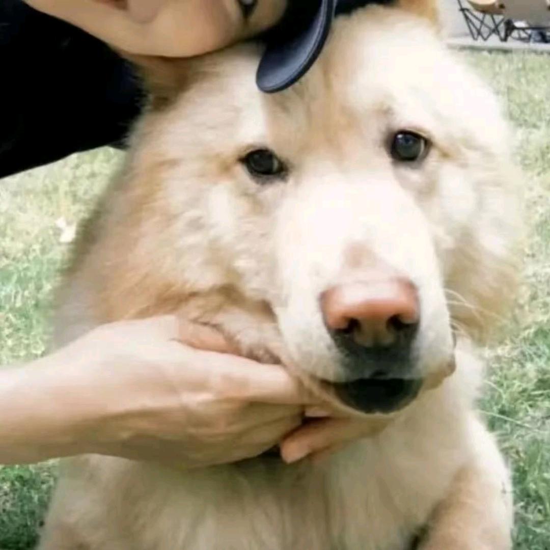 。。。。。。。。。。。