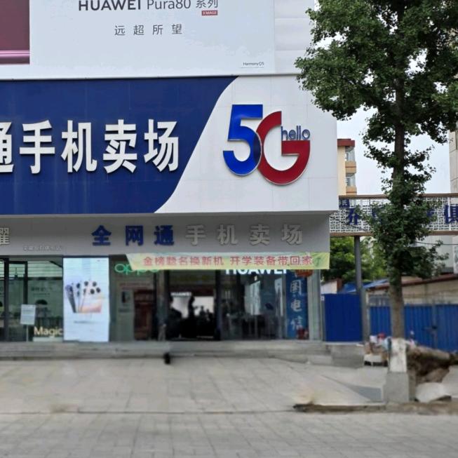 南大街全网通店