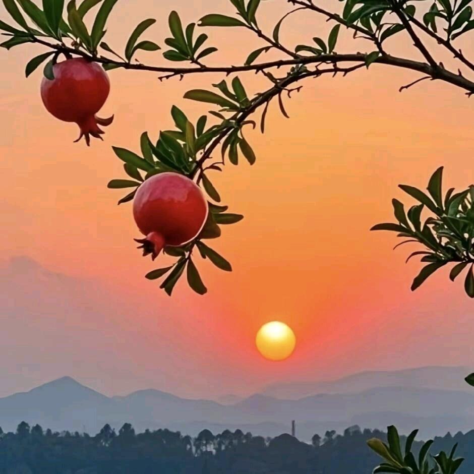 好运满满🌹🌹🌹❤️❤️❤️