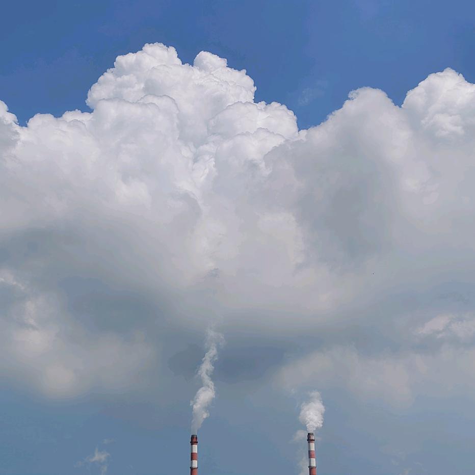 铁粥猴的达达DY