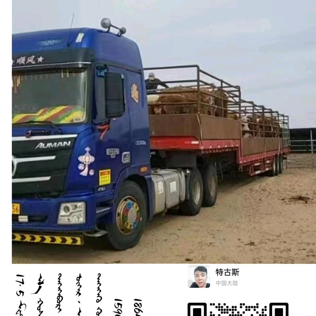 二连，特古斯，5187