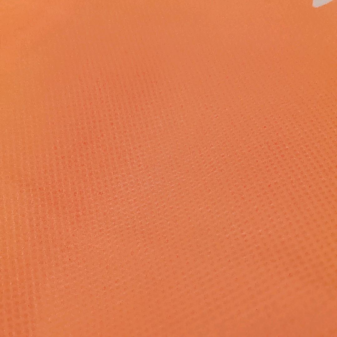 西夏