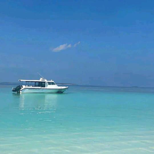 🌈欧气满满呀.🍂