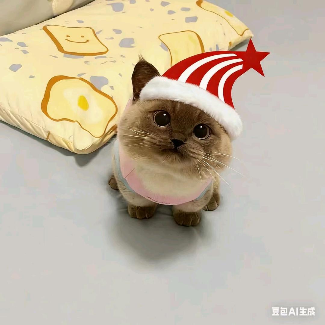 白皖