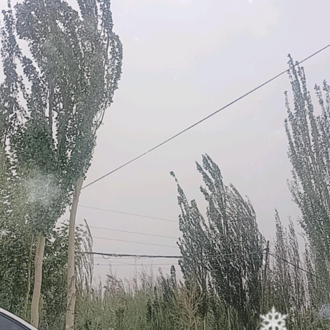 借个号，来泡个妞