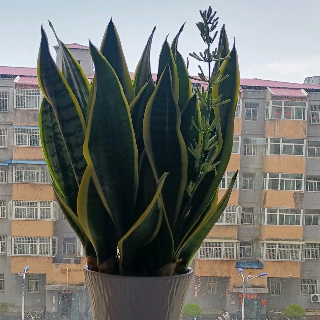 再苦再累也别忘了微笑i