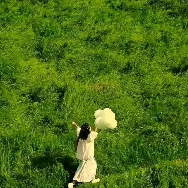 一片🍃