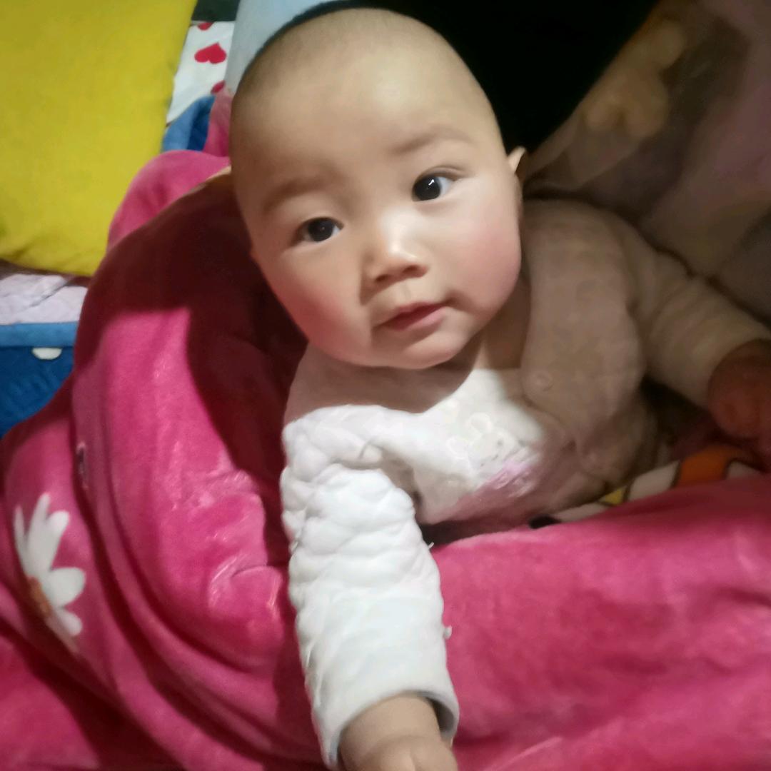 十二生肖