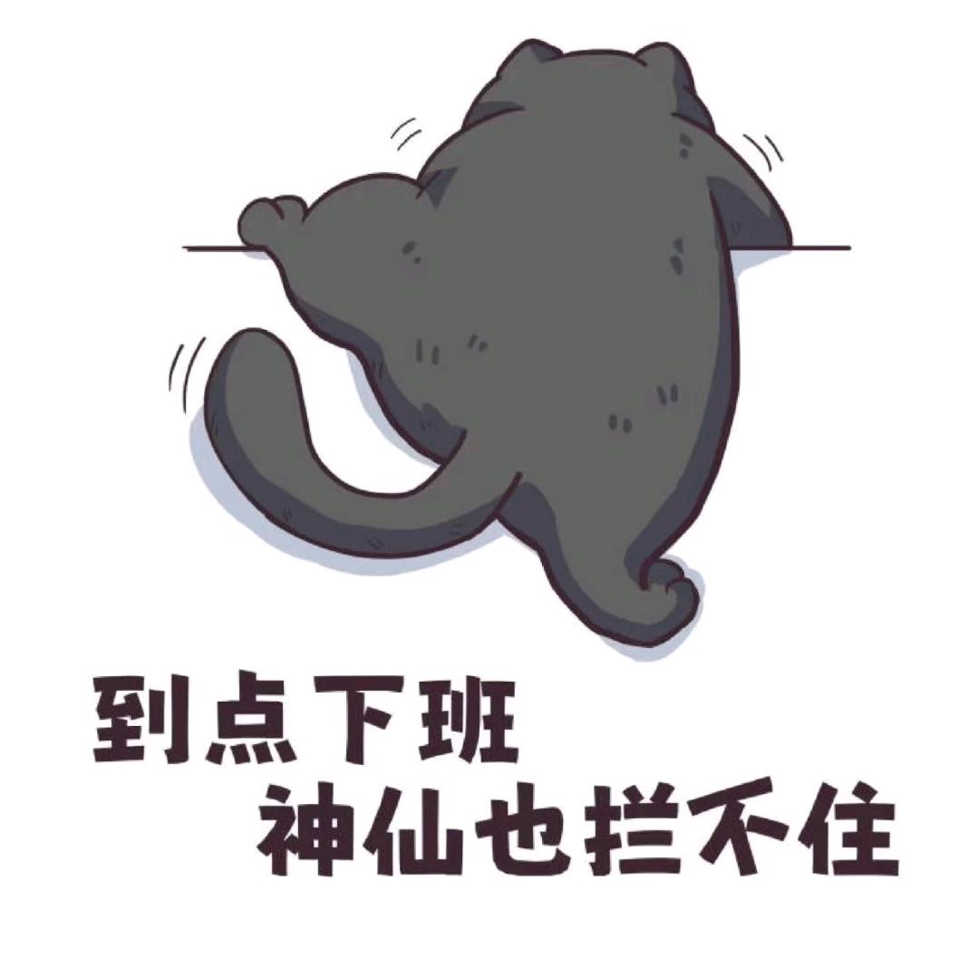 牛宝宝
