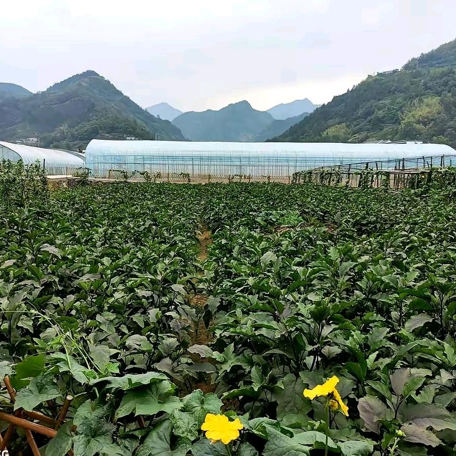 梦想百商