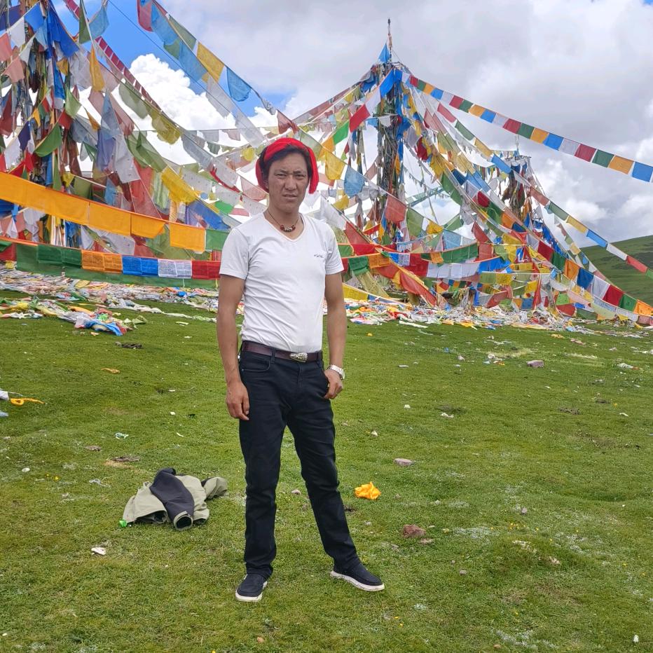 🌺1376🌺中美布🍑🍒🍇