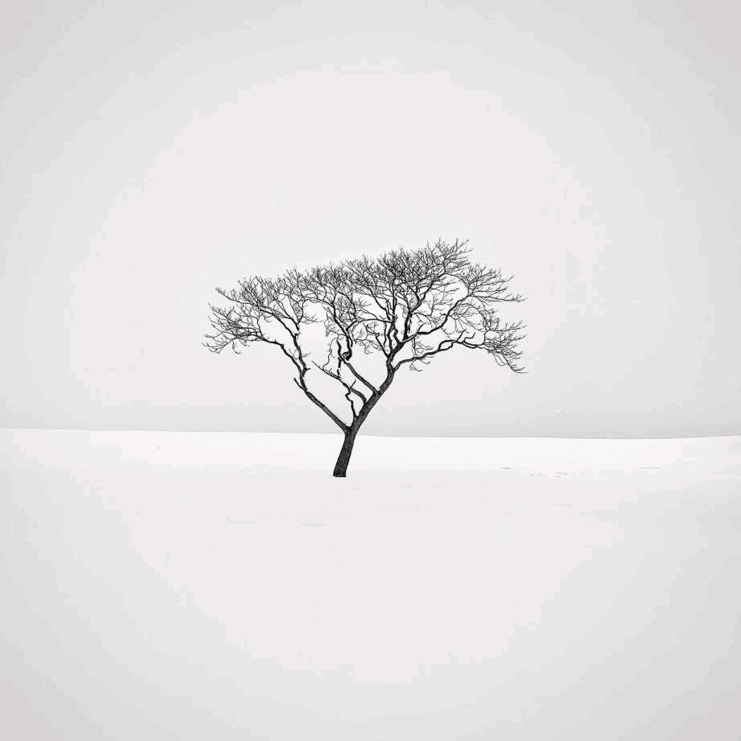 ℳ𝓻  𝓱𝓪𝓸