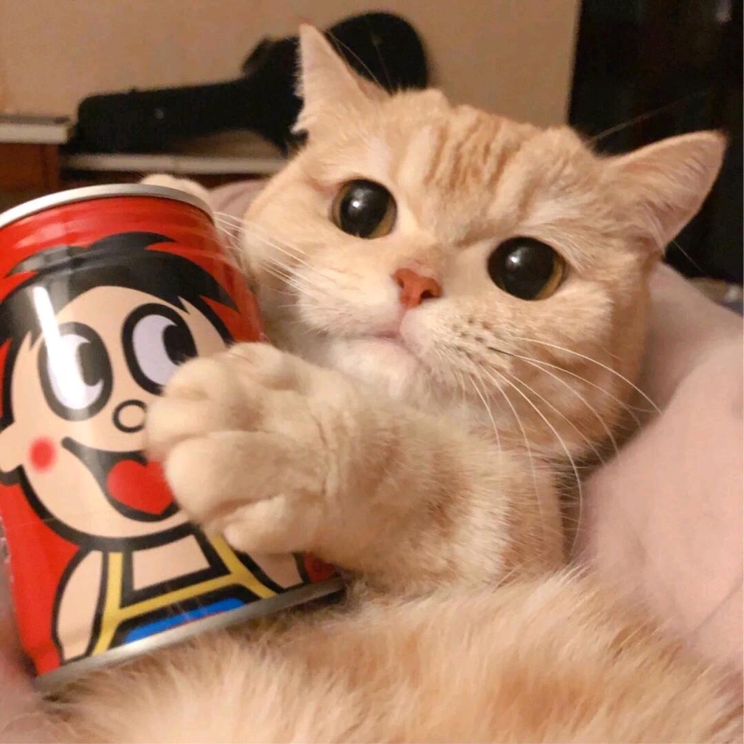 归途（正在发育）