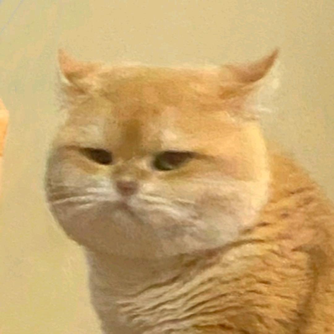 爱玩游戏的阿枫