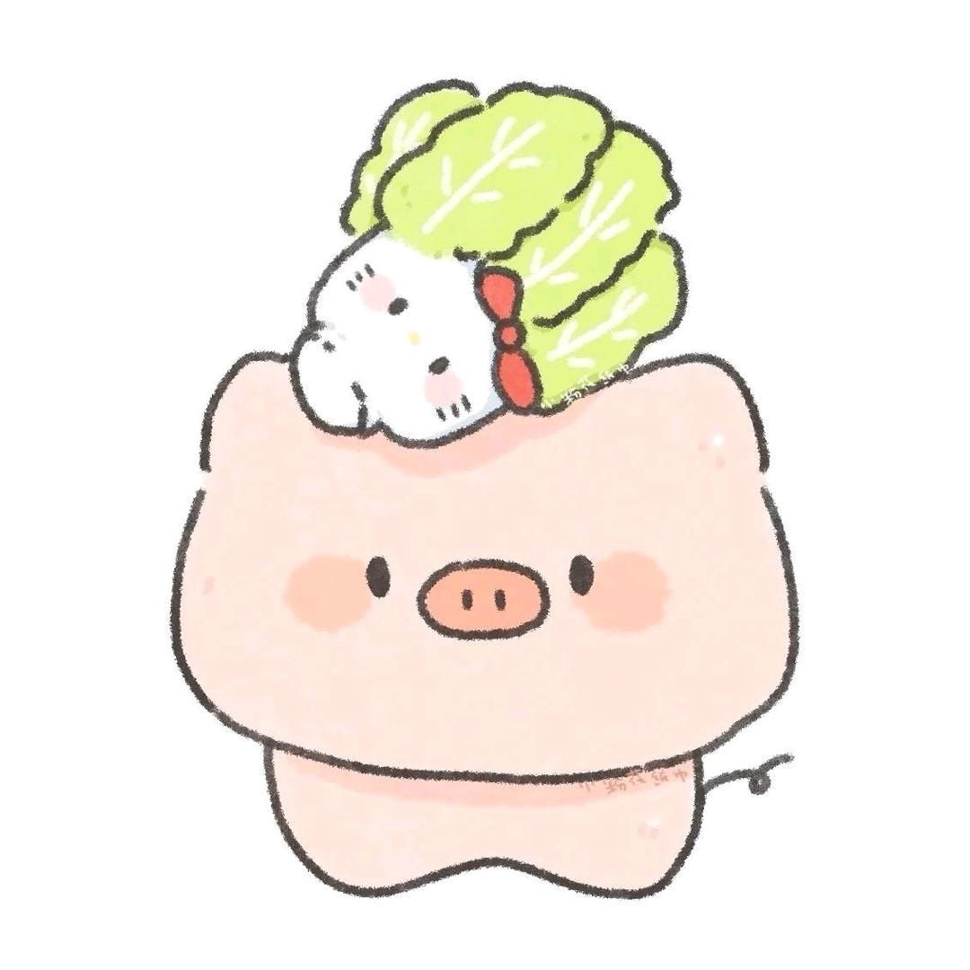 等月季开.