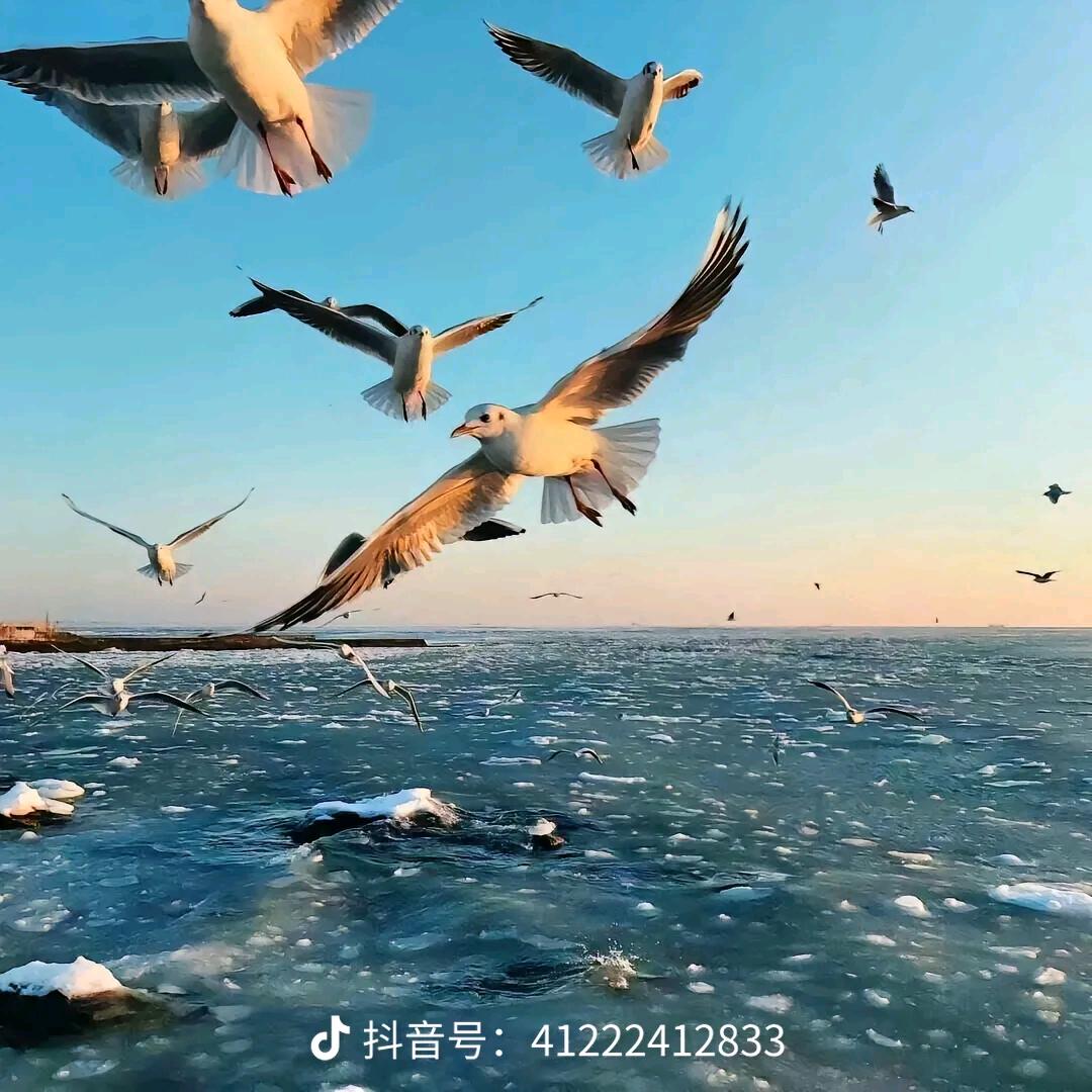 晴空⋋✿ ⁰ o ⁰ ✿⋌万里