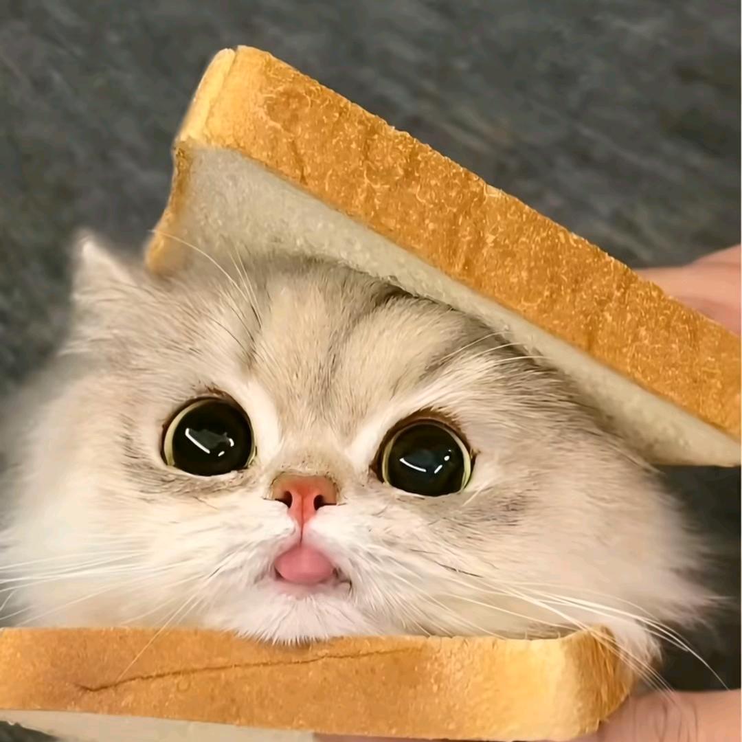 好多愚