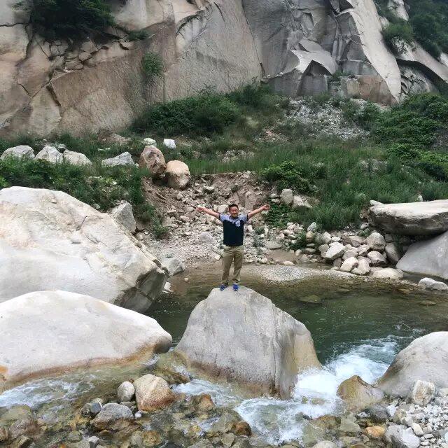 武夷山大黄狗
