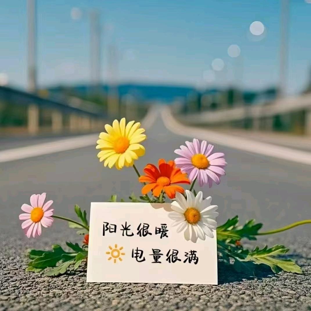 Ai 禾禾