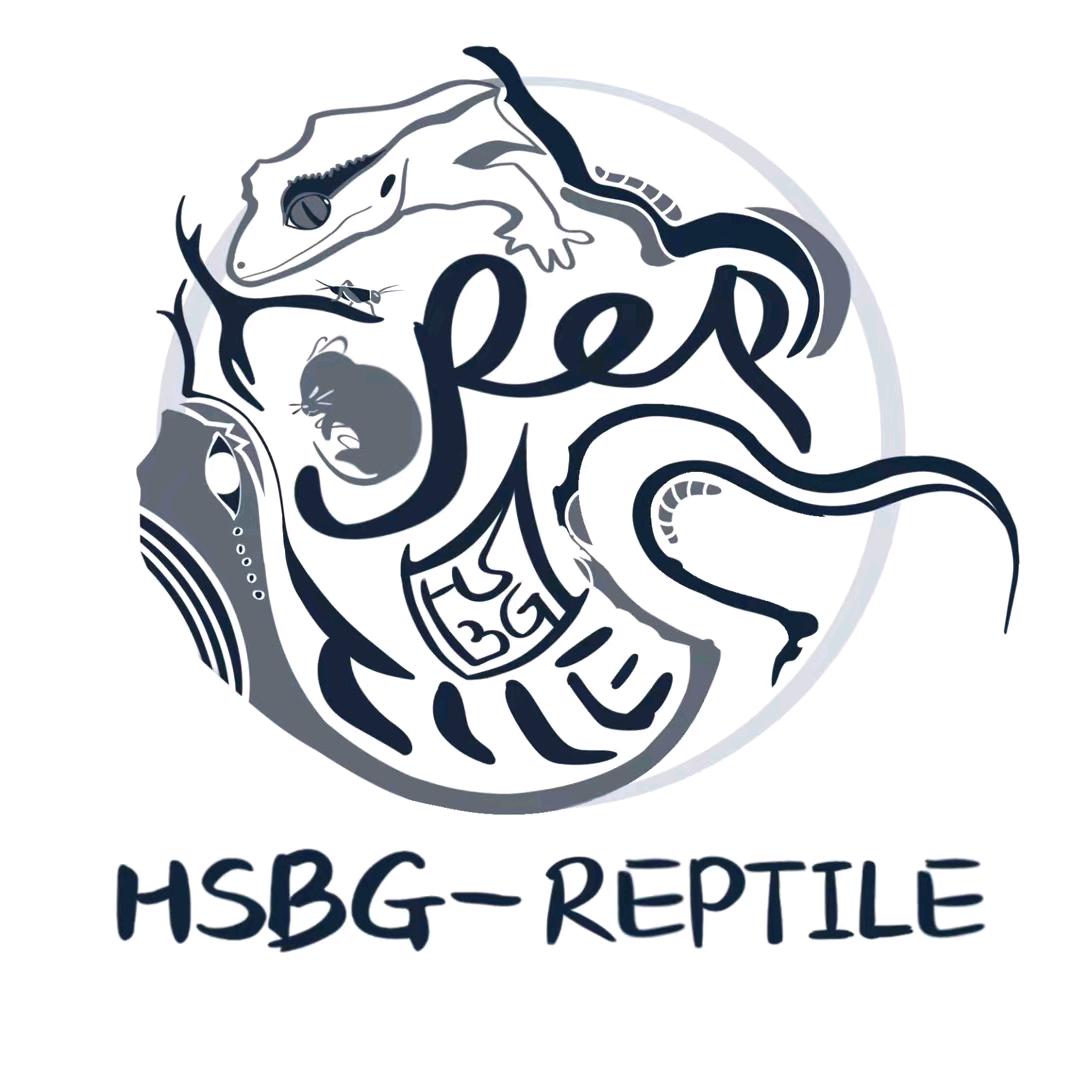 HSBG石头先生养爬记