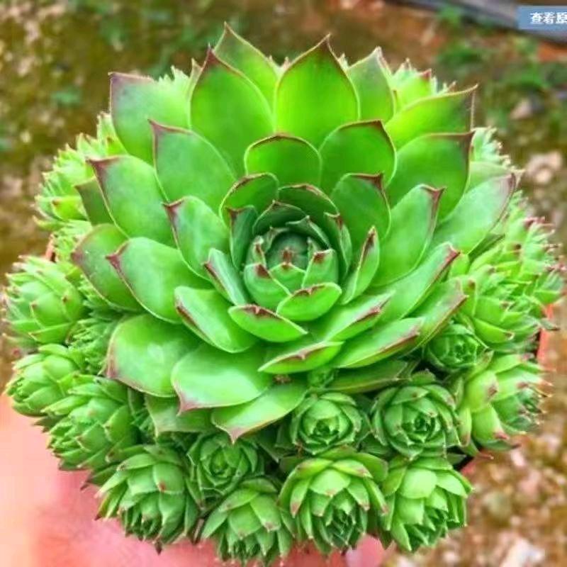 好心情💖💖💖