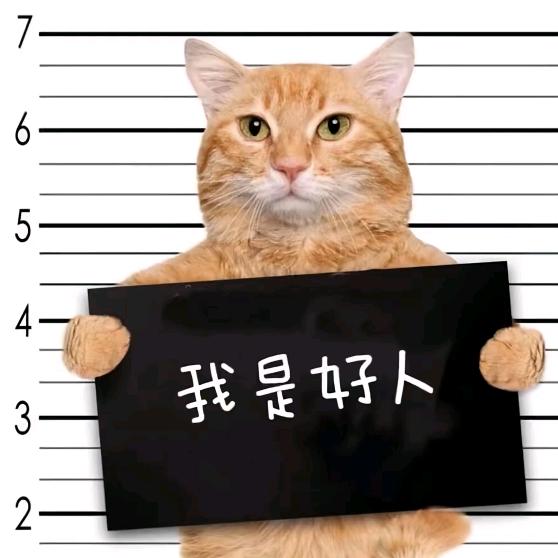 季沐