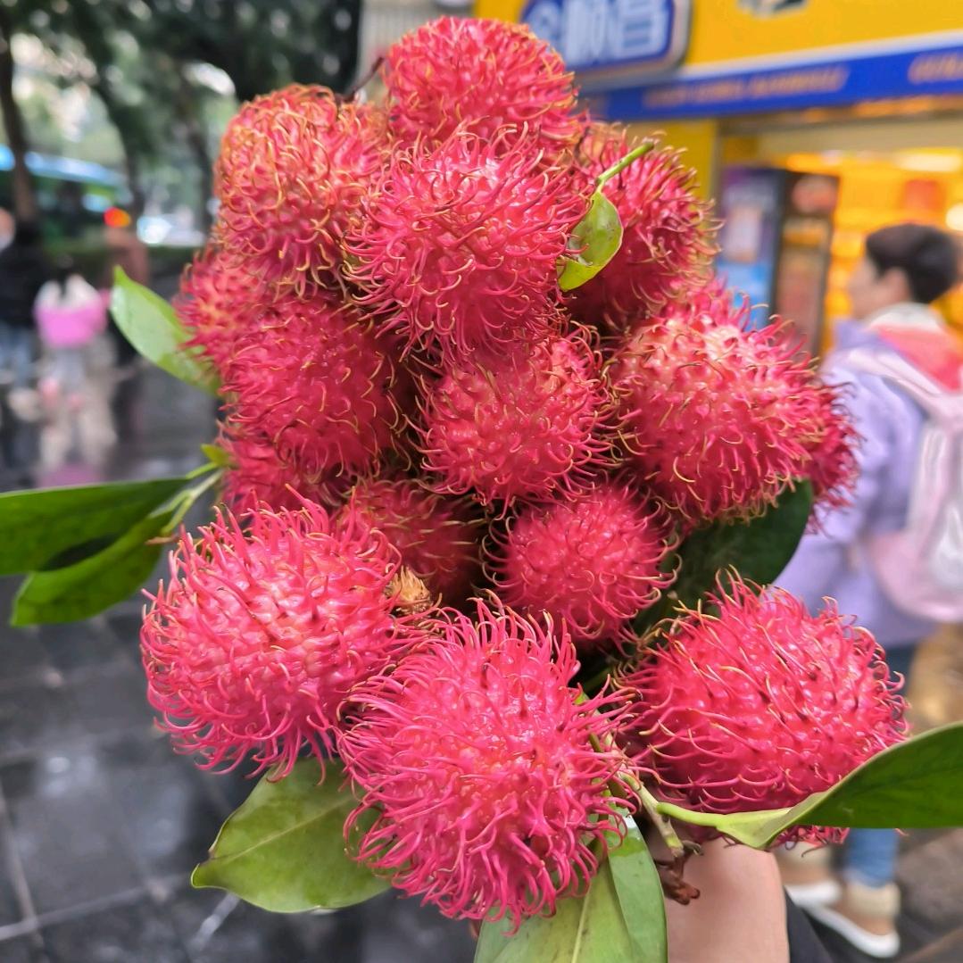 羊爱上狼(🐏❤️🐺)