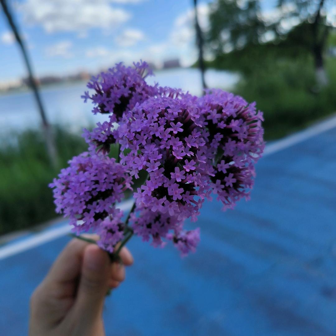 霞光依旧