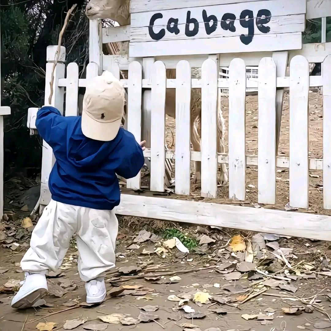 ㅤ  ㅤ