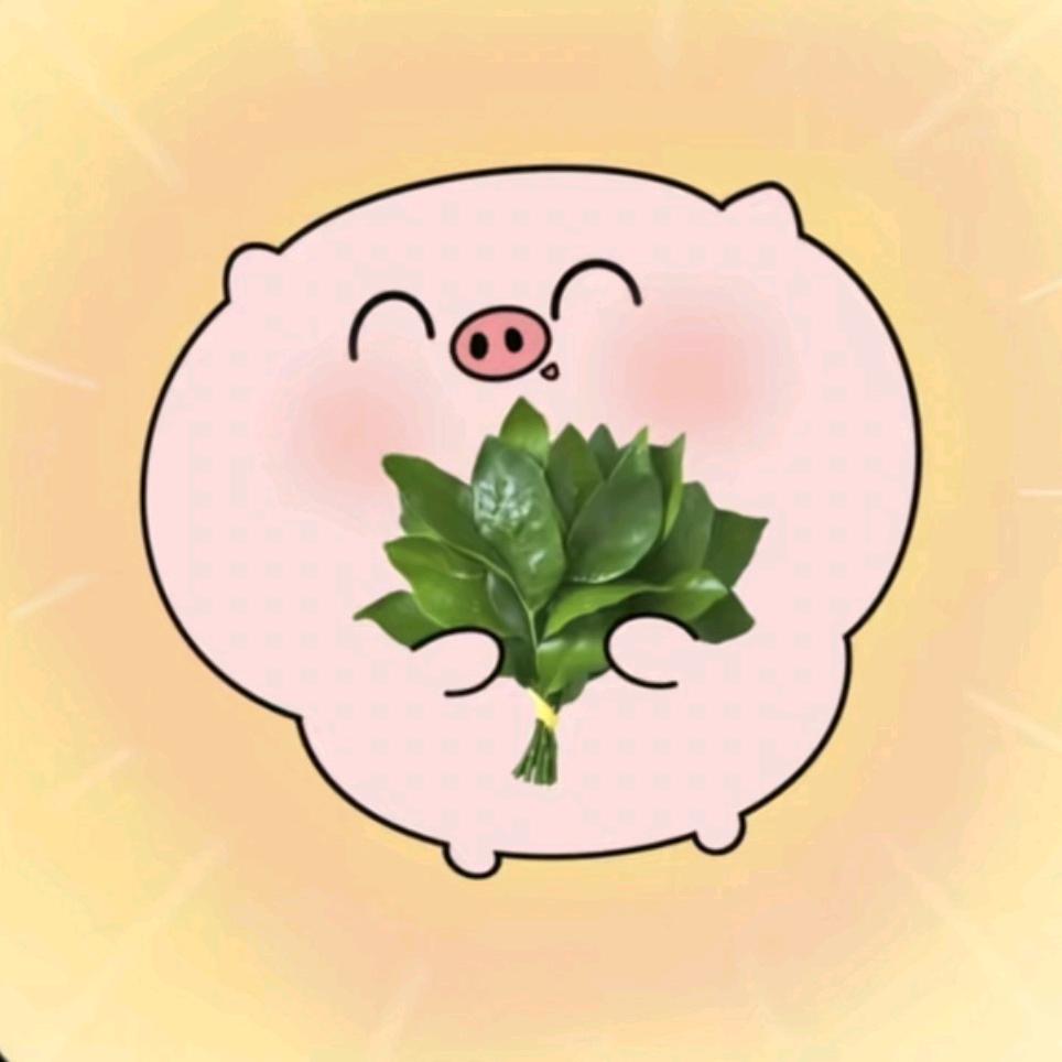 向阳的向日葵🌻