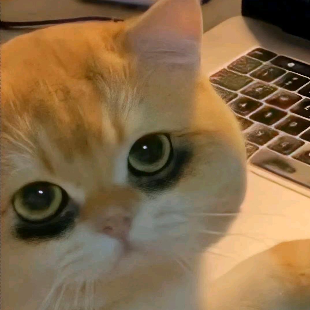 肥肥胖胖是太阳