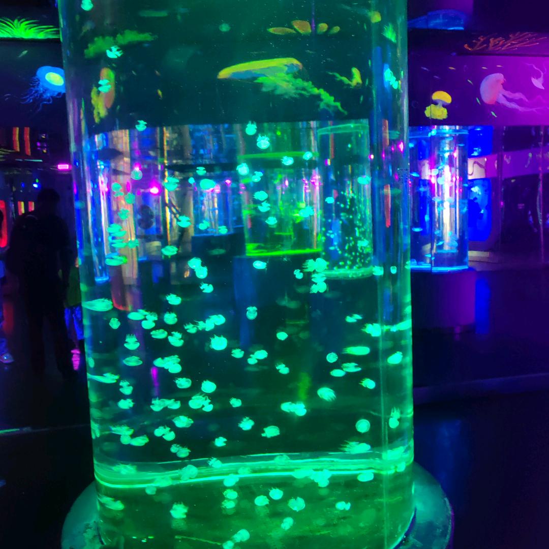 君陌离，梦如飞花，指间沙……………