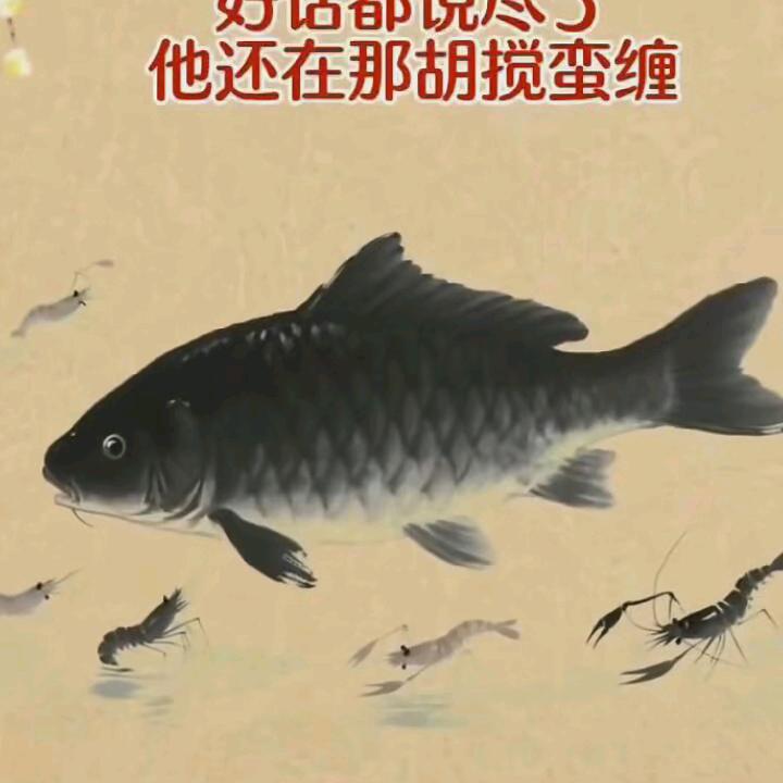 移动不动，我不动