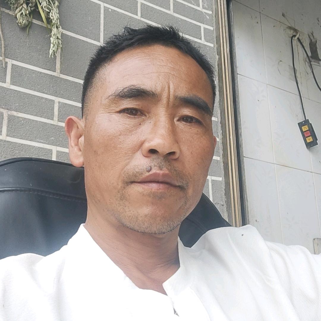 季小龙