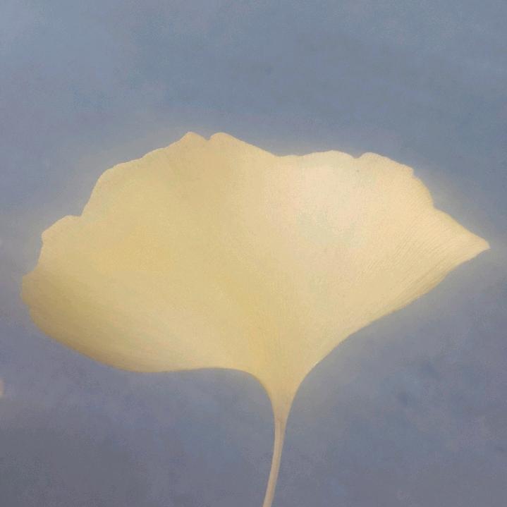 人生的心酸和苦