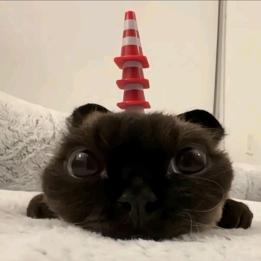 玫歡
