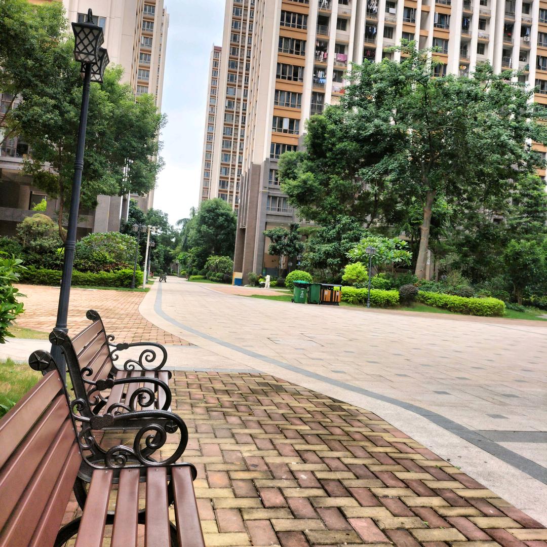 娜🌿
