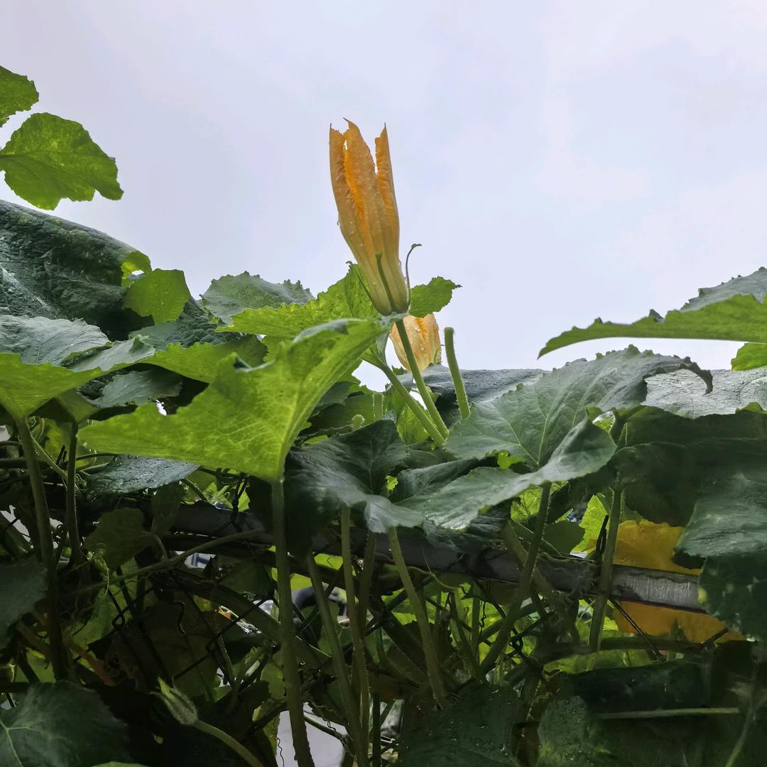 秋天～
