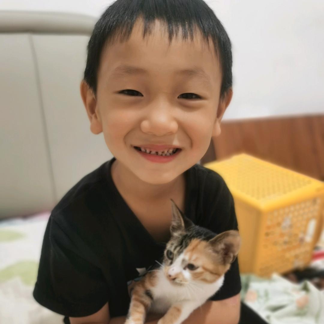 @风心锁爱