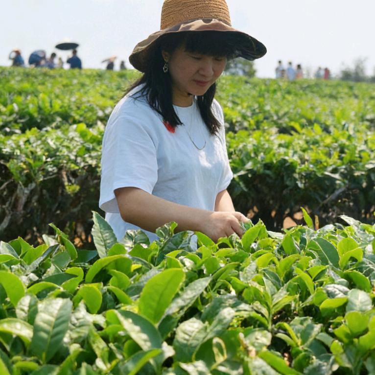 兴国小刘有绝招