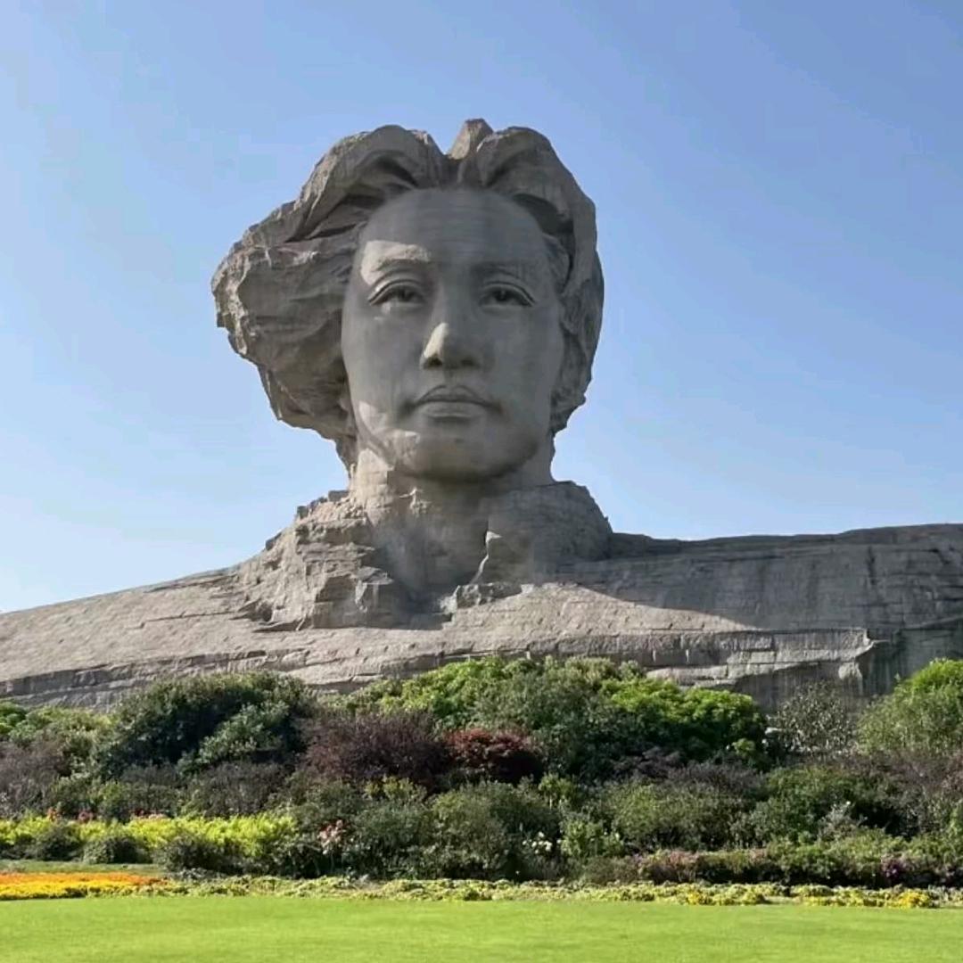 数字人生