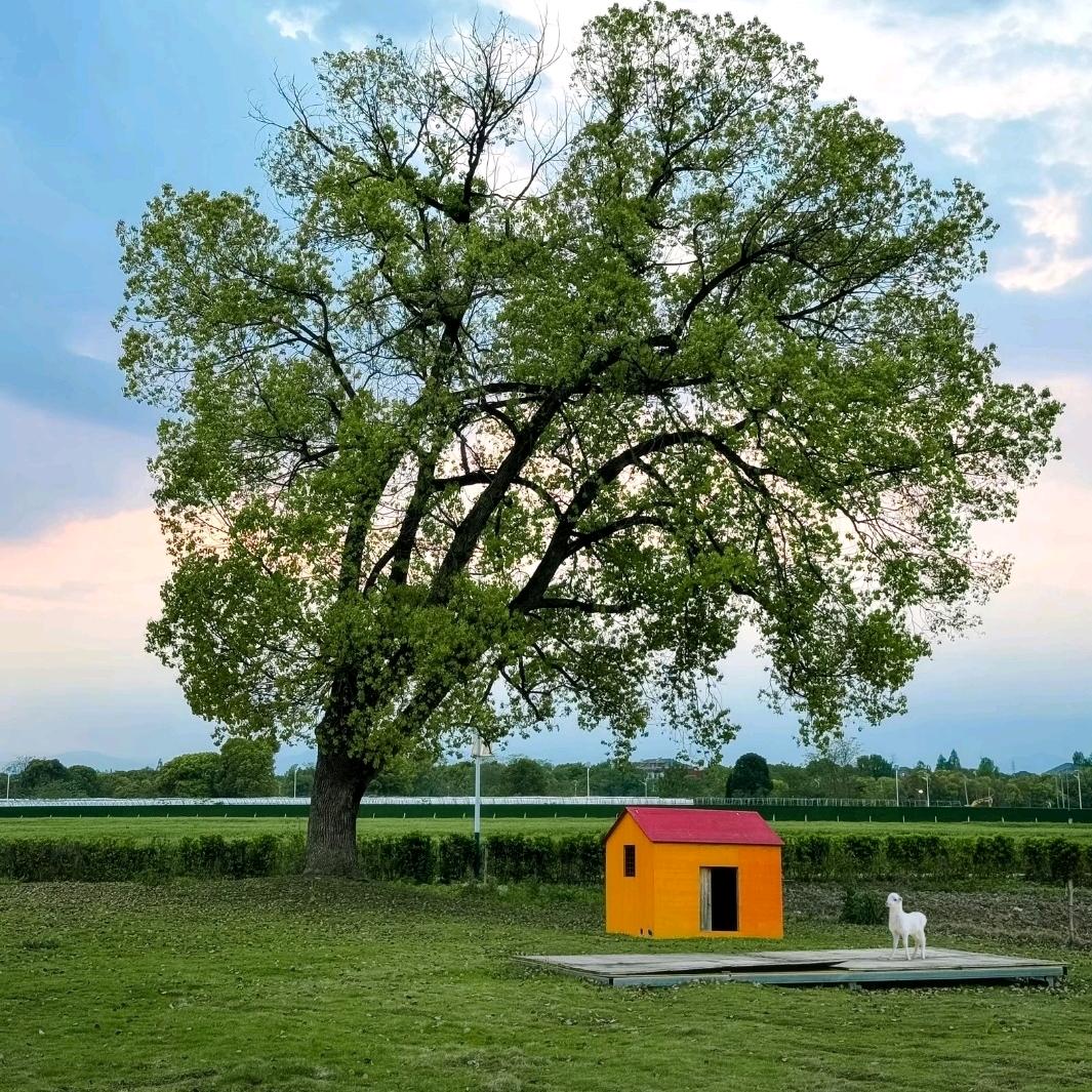 我好想睡觉💤（好运版）