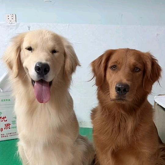 工程师航拍