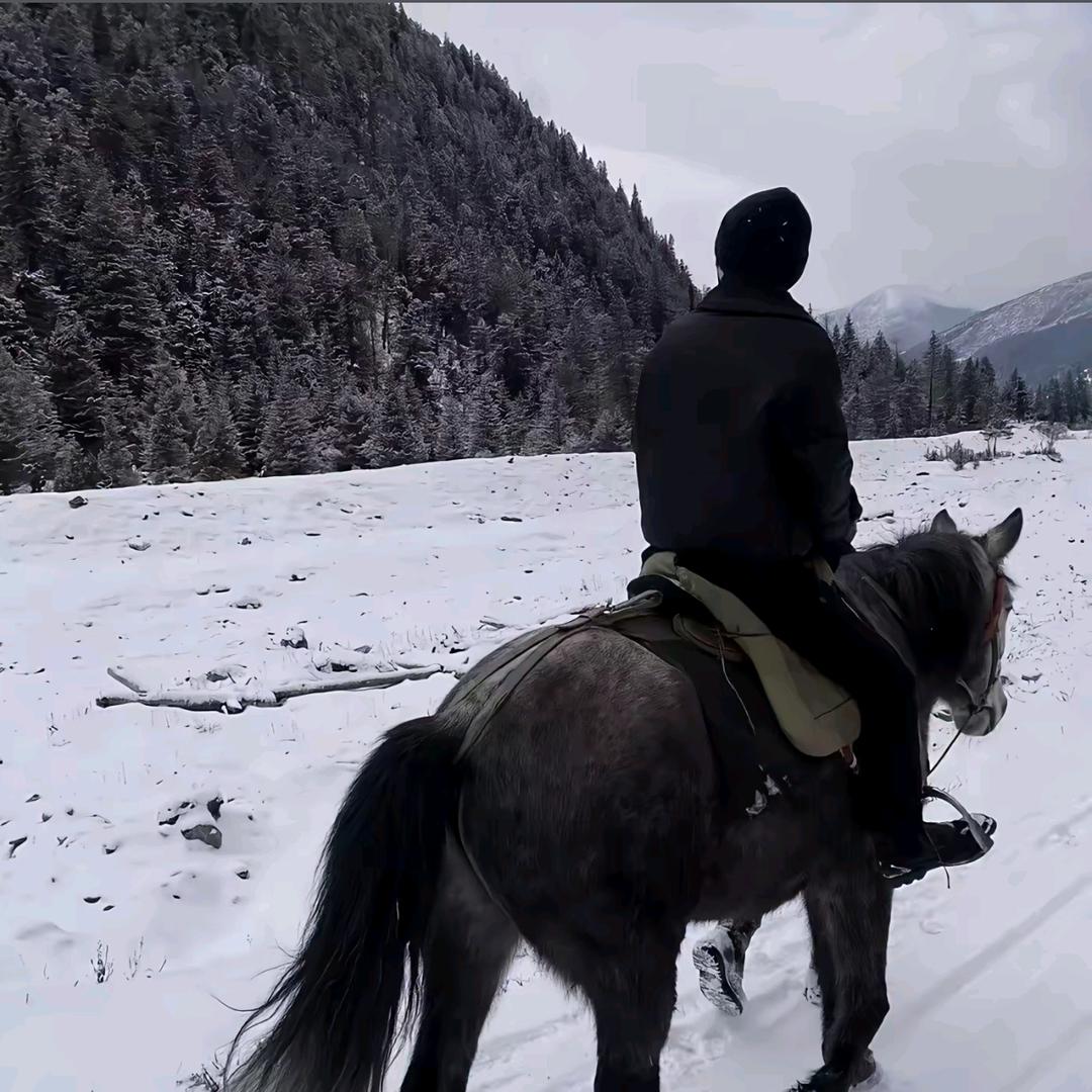 泪水打湿猪脚饭