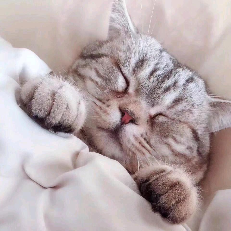 花•花