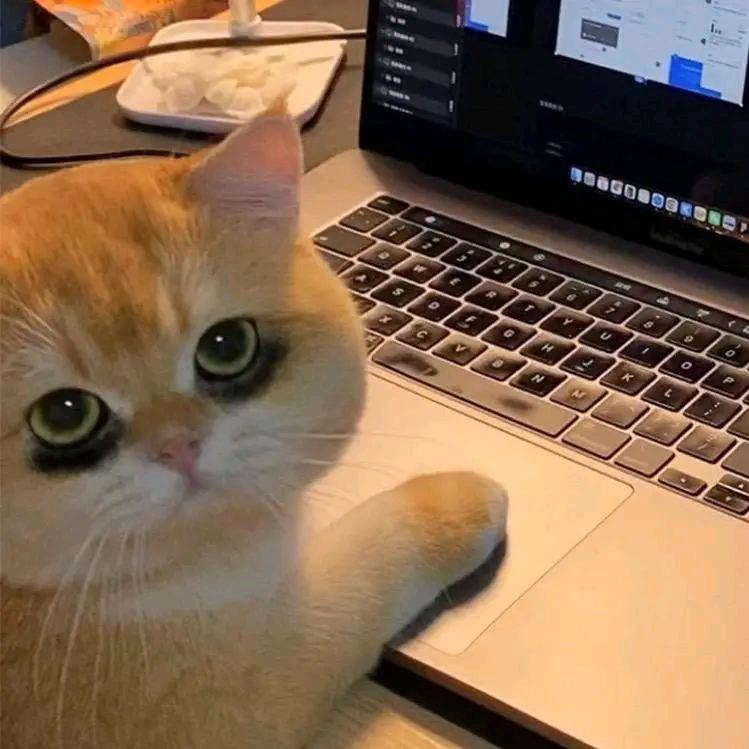 、近今