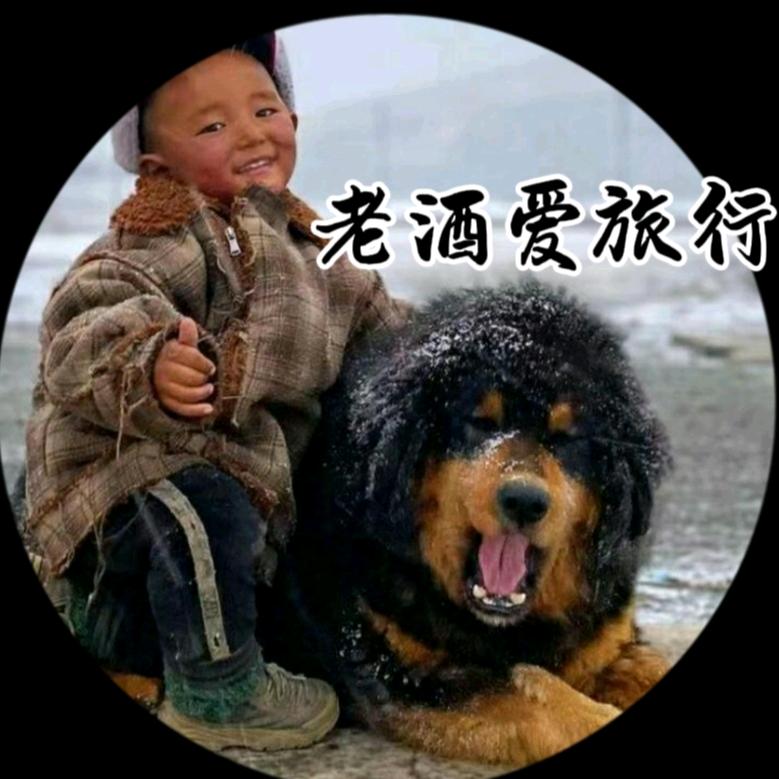 老酒爱旅行