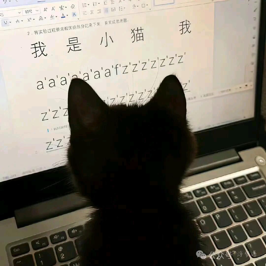 草莓