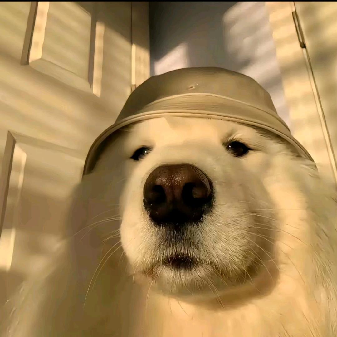 心 有 灵 犀