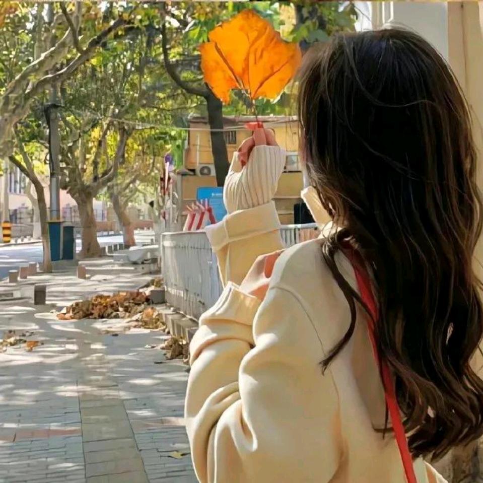 小李优选